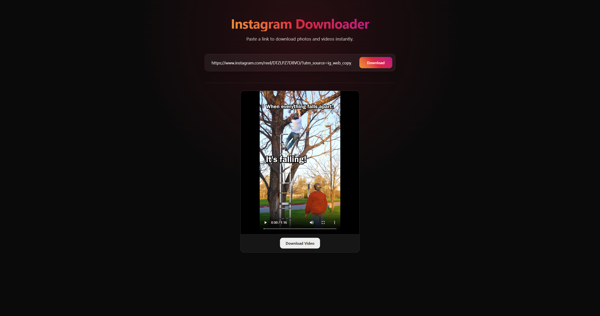 Instagram Downloader