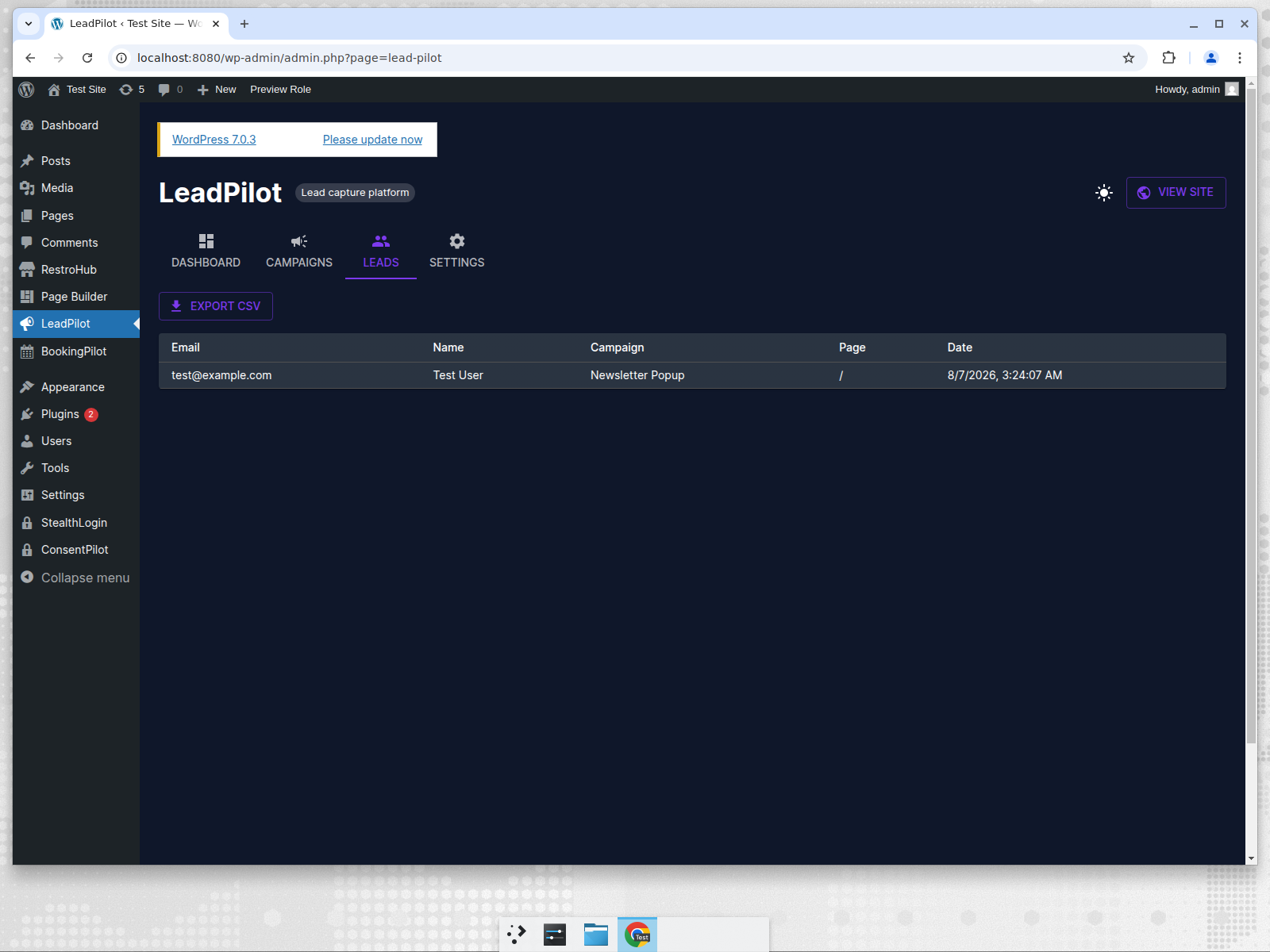 Leads table with CSV export
