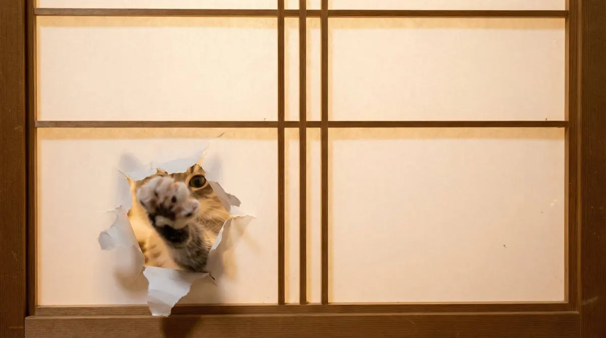 Cat and Shoji door–Nano Banana Pro–Prompt Share 85
