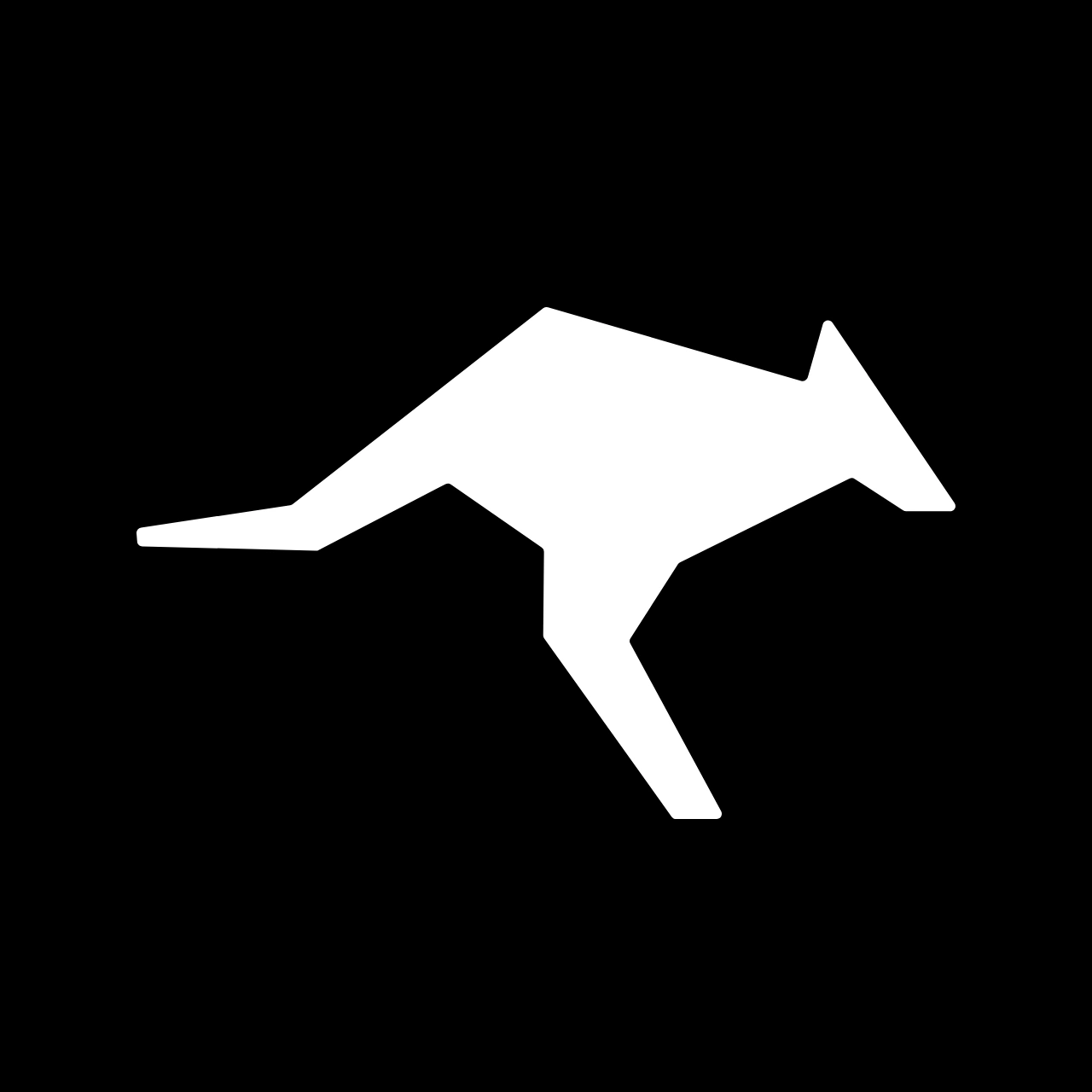 Roo Code