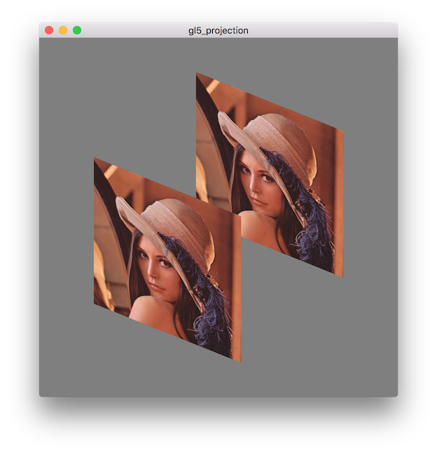 Screenshot of the gl5_projection example