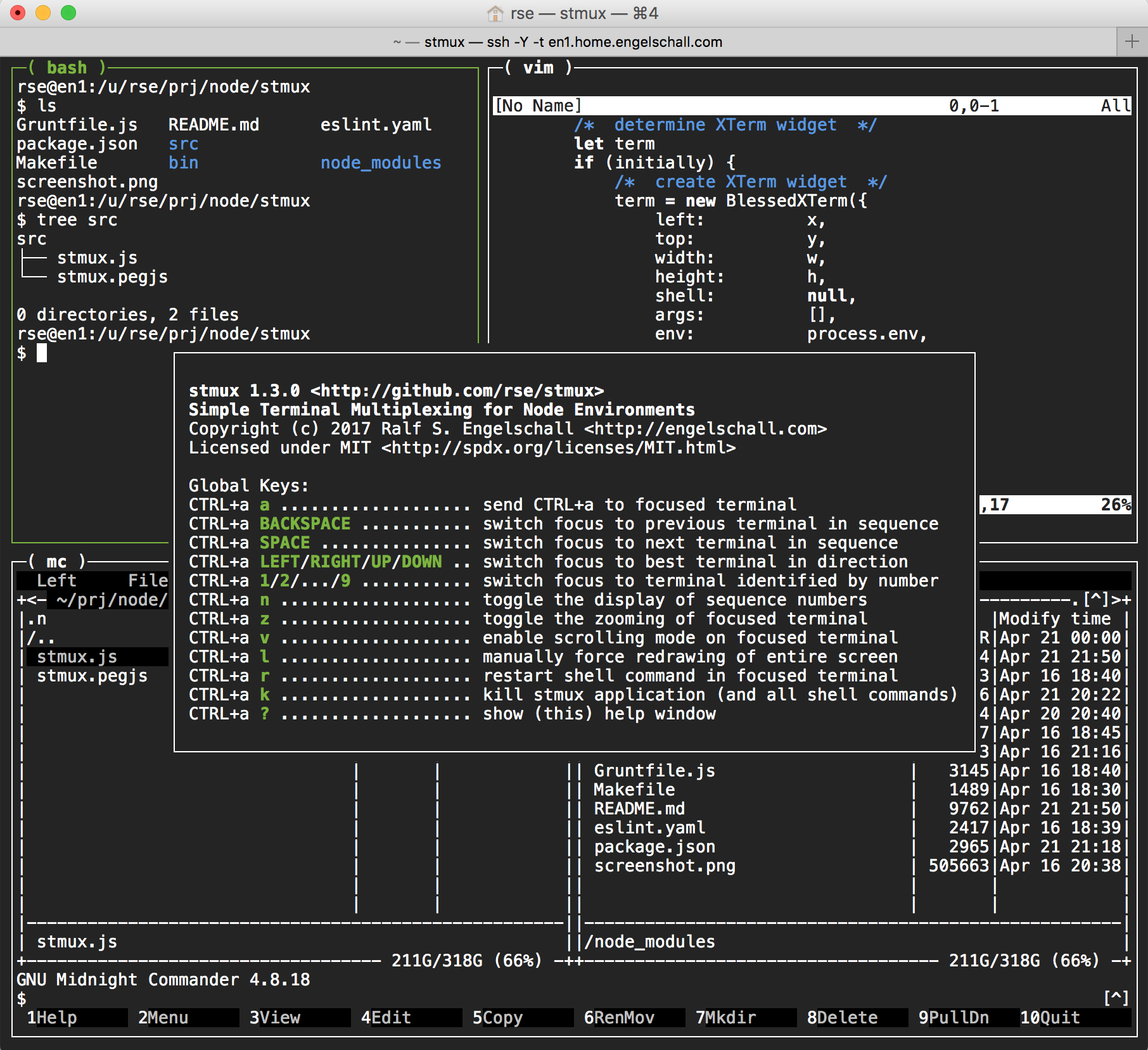 stmux usage