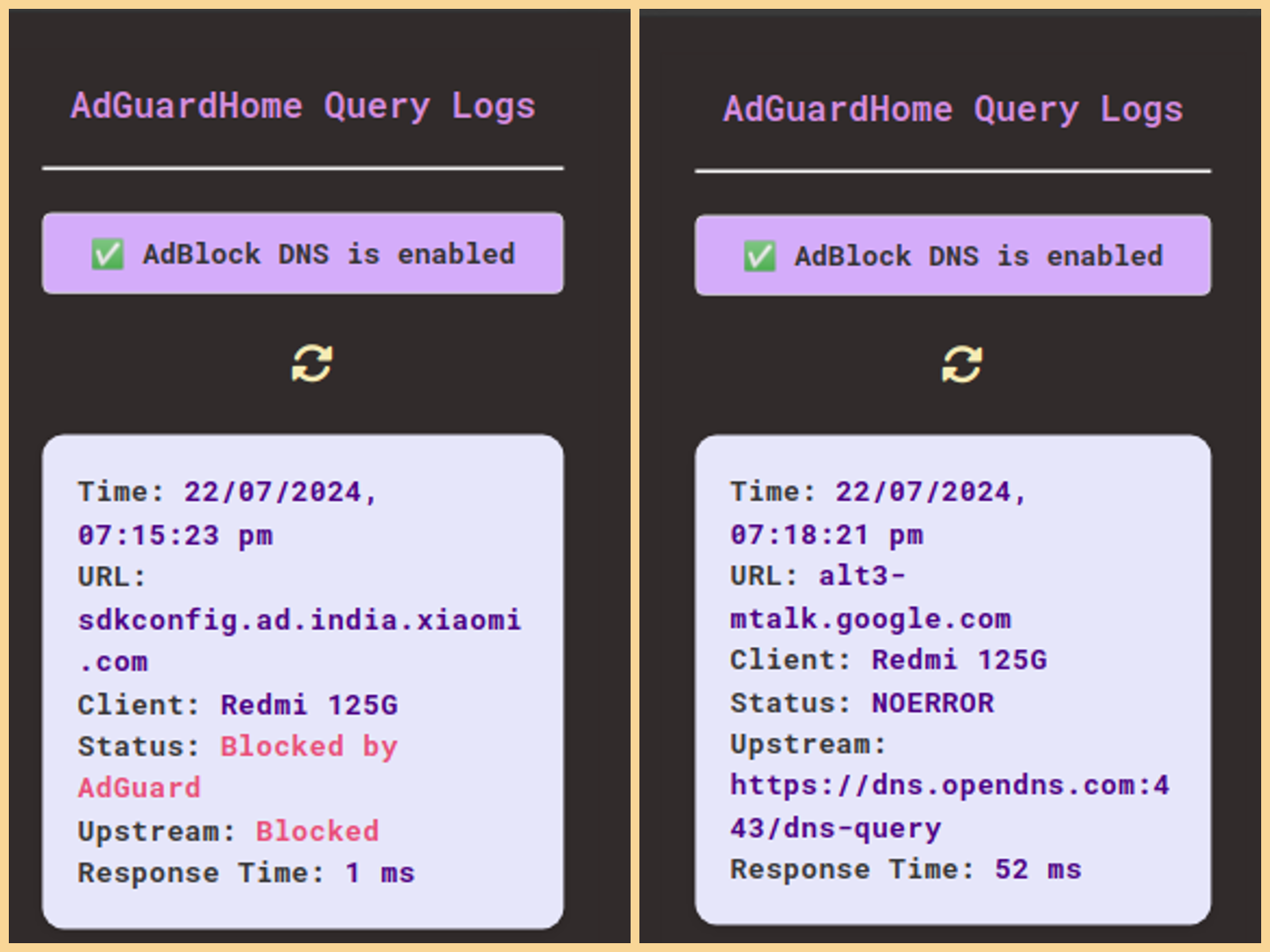 dGuardHome Query Logs