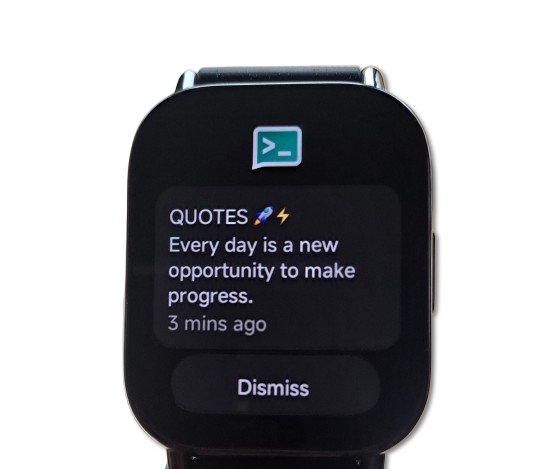 Watch Quotes