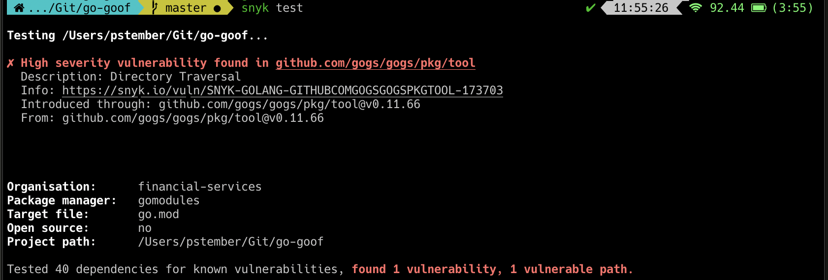 Vulnerability detection screenshot
