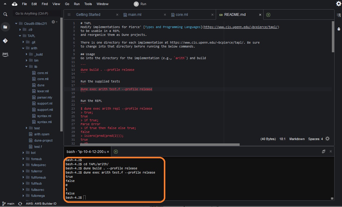 use dev environment screenshot