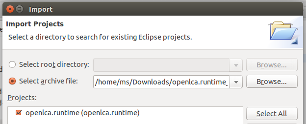 Import the runtime project