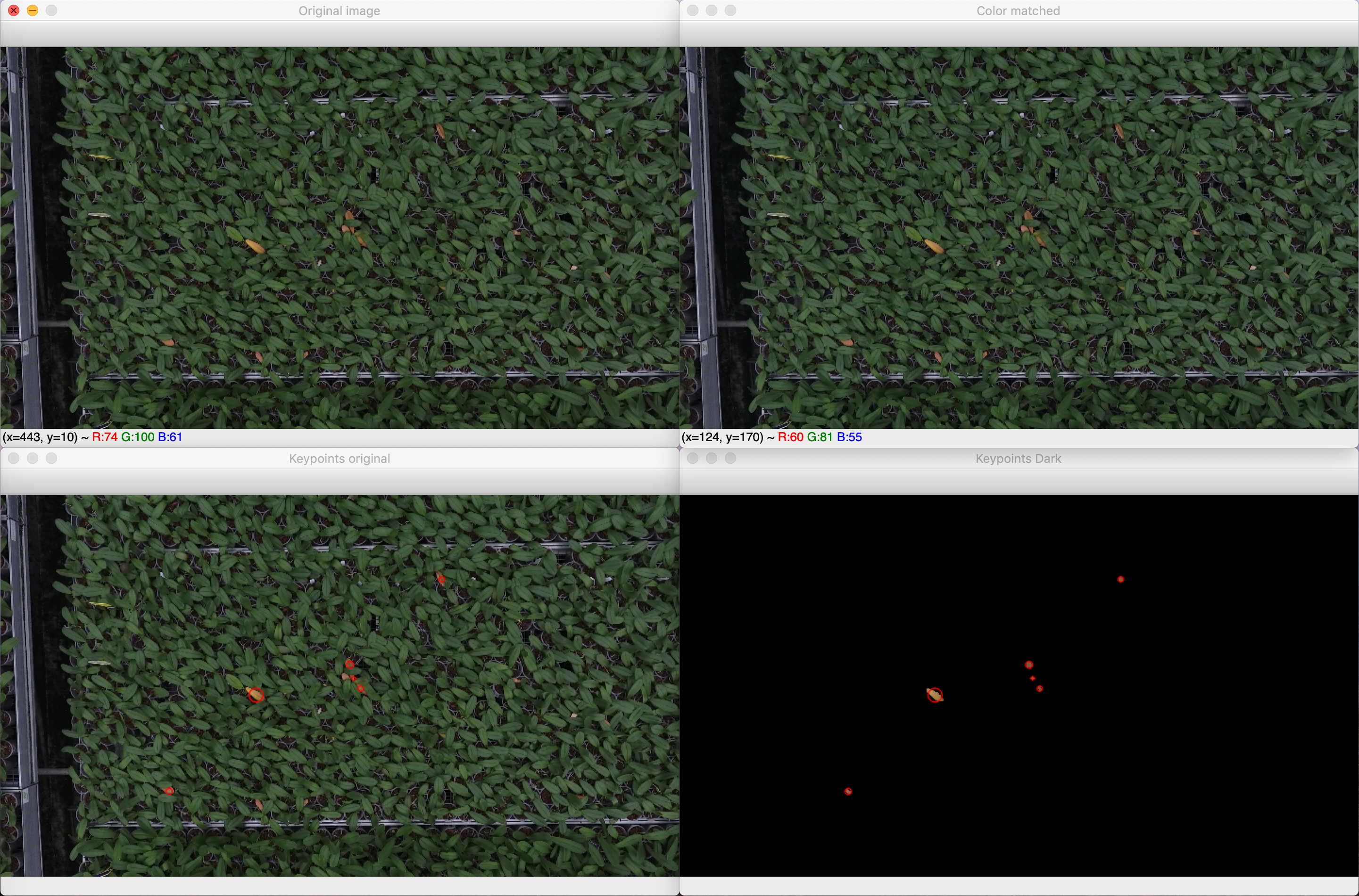 Sick Plants Detector screenshot
