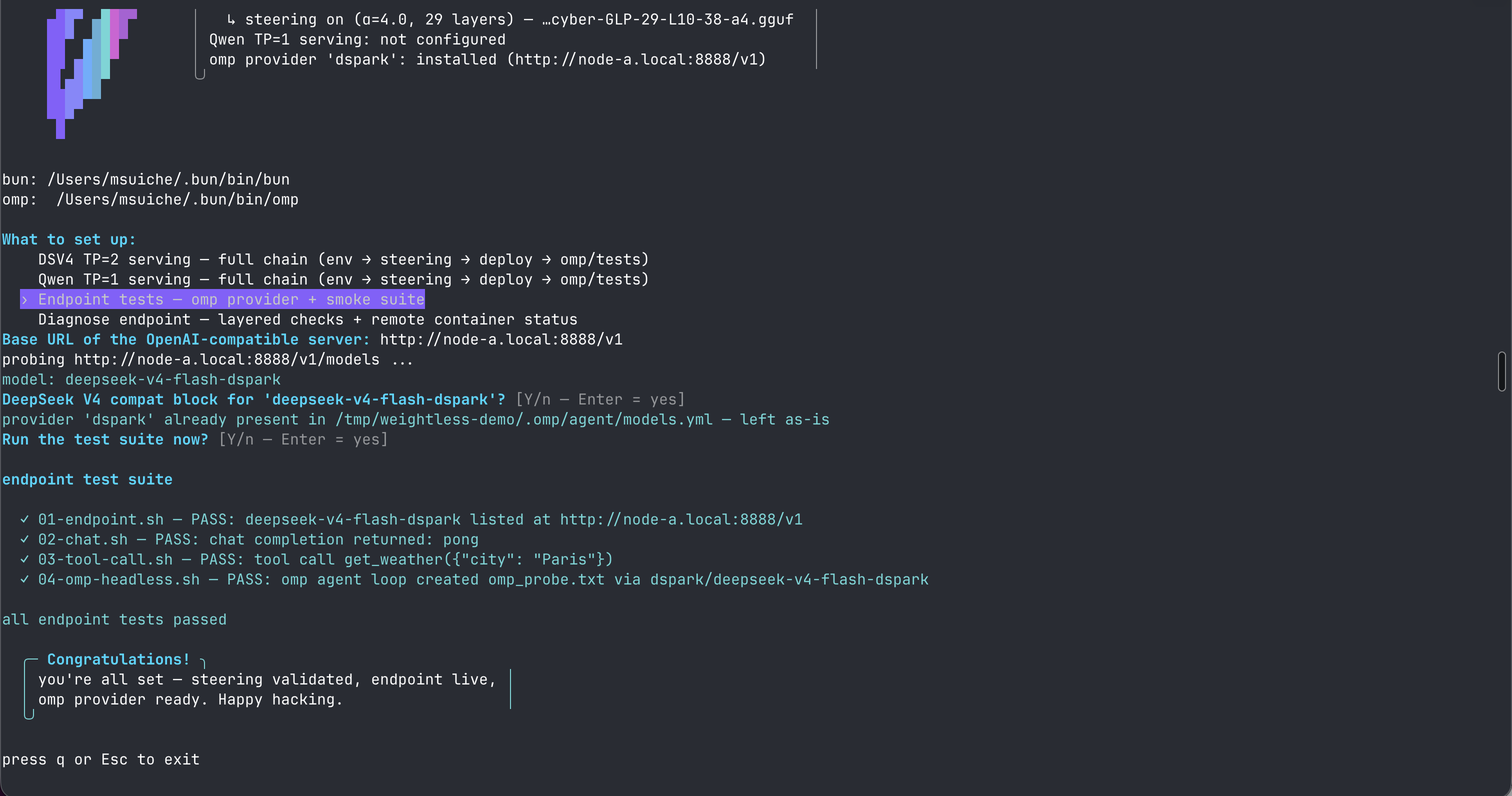 endpoint smoke tests running inside the wizard