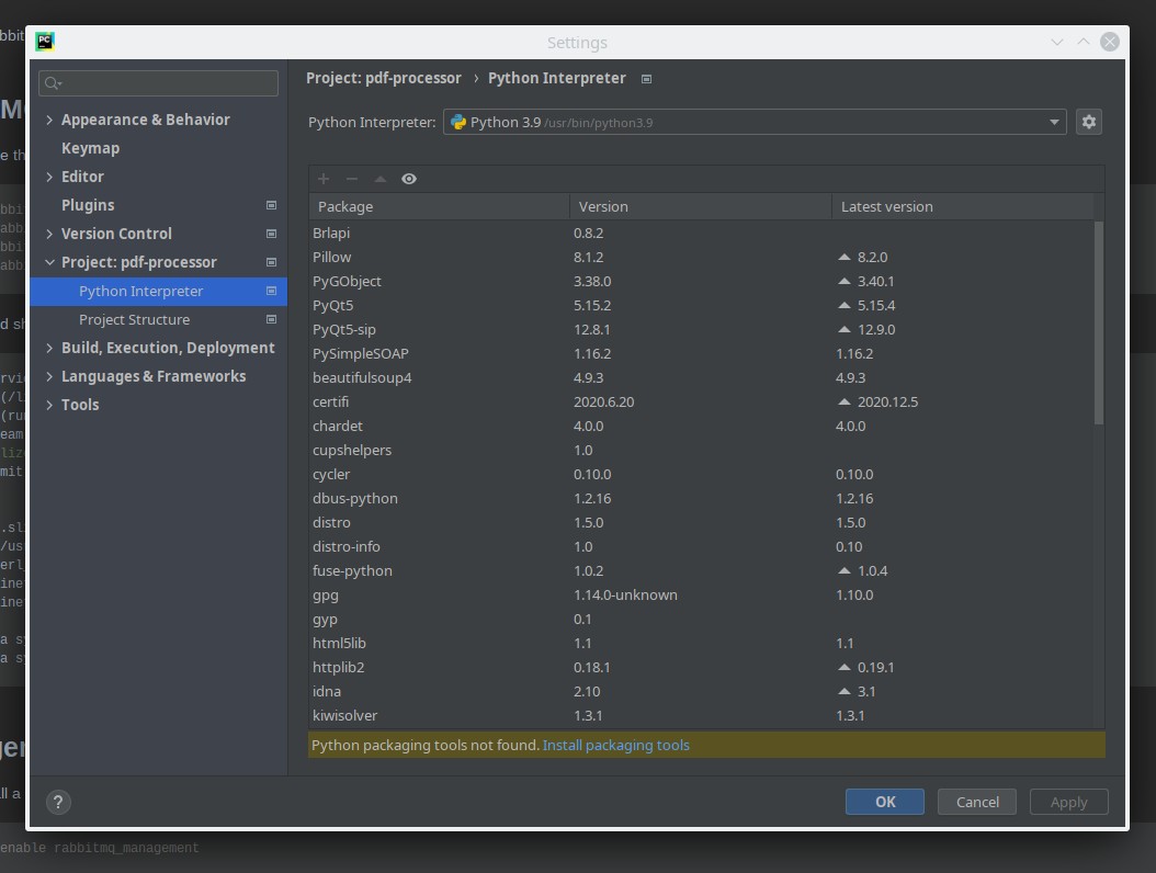 Python Interpreter settings