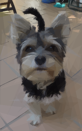 Dog generated using 500 triangles