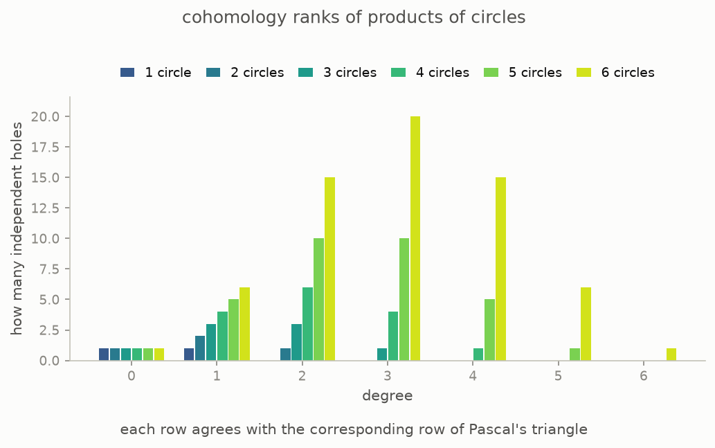 Rows of bars show cohomology ranks for products of one to six circles, following Pascal's triangle
