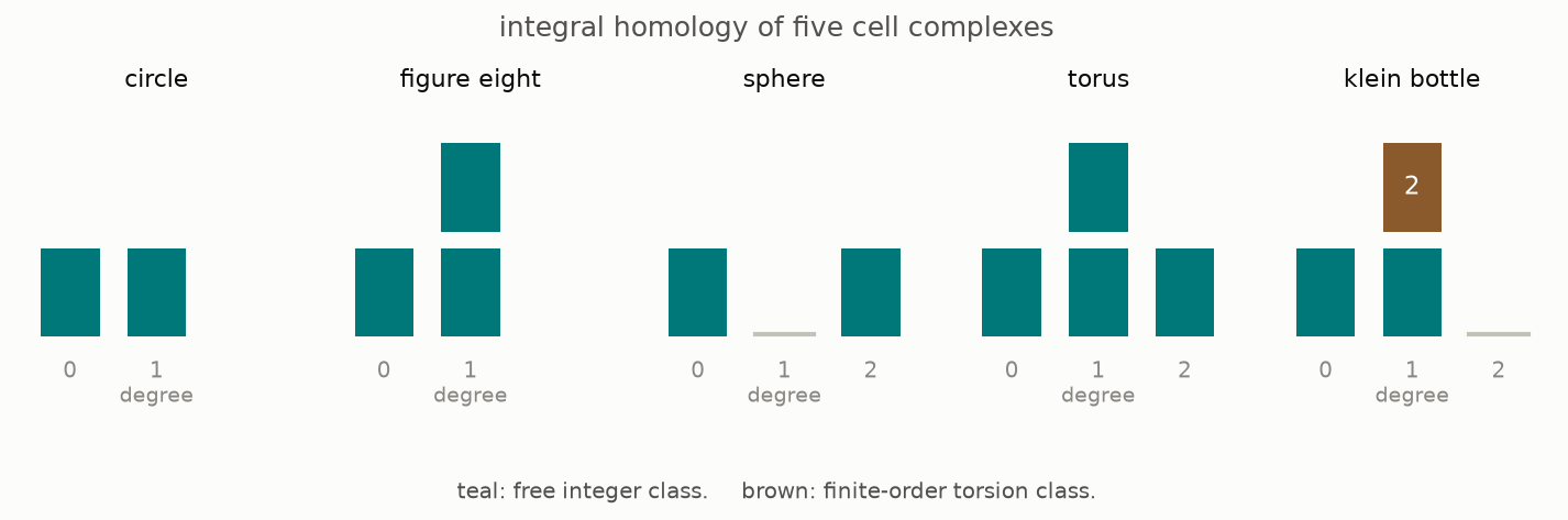 Free and torsion homology classes are compared for a circle, figure eight, sphere, torus, and Klein bottle