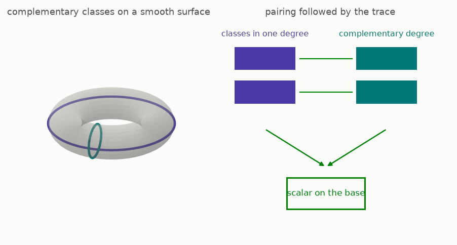 A torus rotates while classes in complementary degrees pair and pass through a trace map
