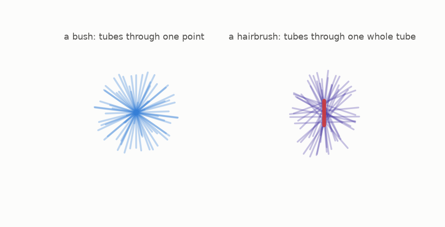 Two rotating three dimensional scenes: a bush of tubes through one point, and a hairbrush of tubes crossing one spine tube