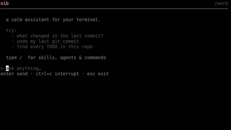 nib in the terminal: ask a question, approve a command, get an answer