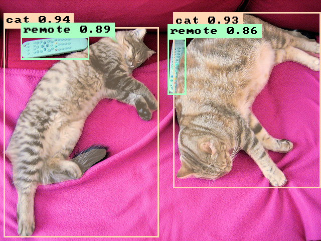 Cats segmentation