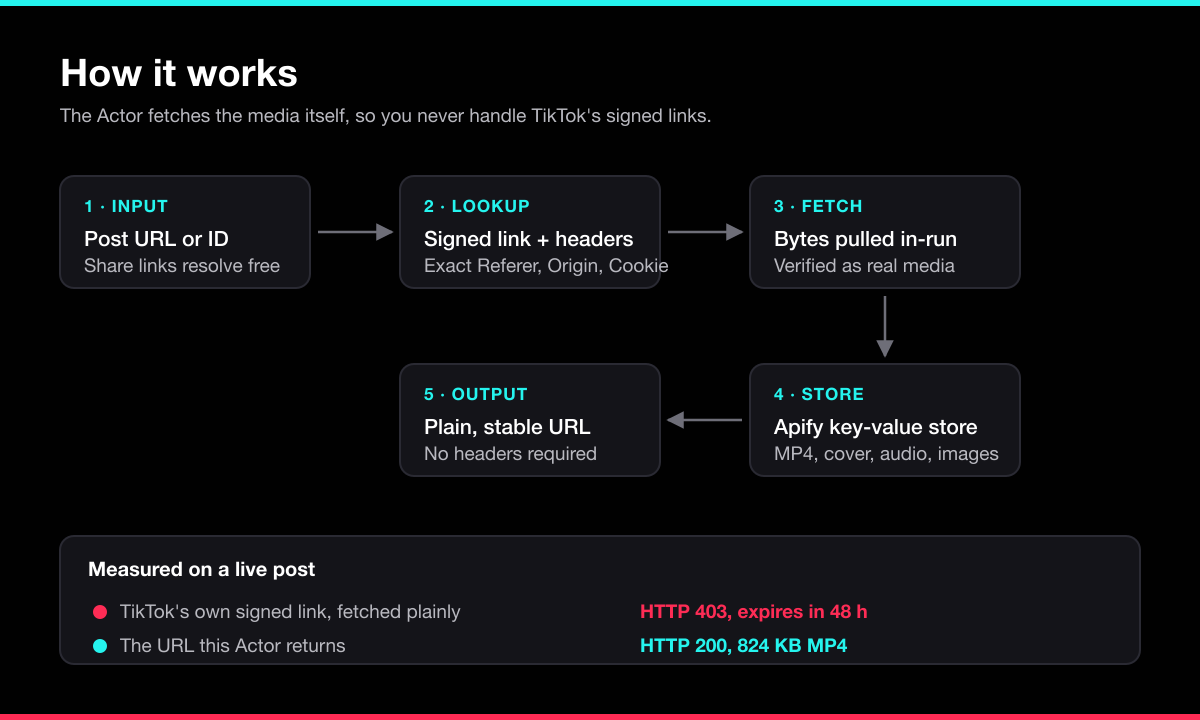 How the TikTok Video Downloader works