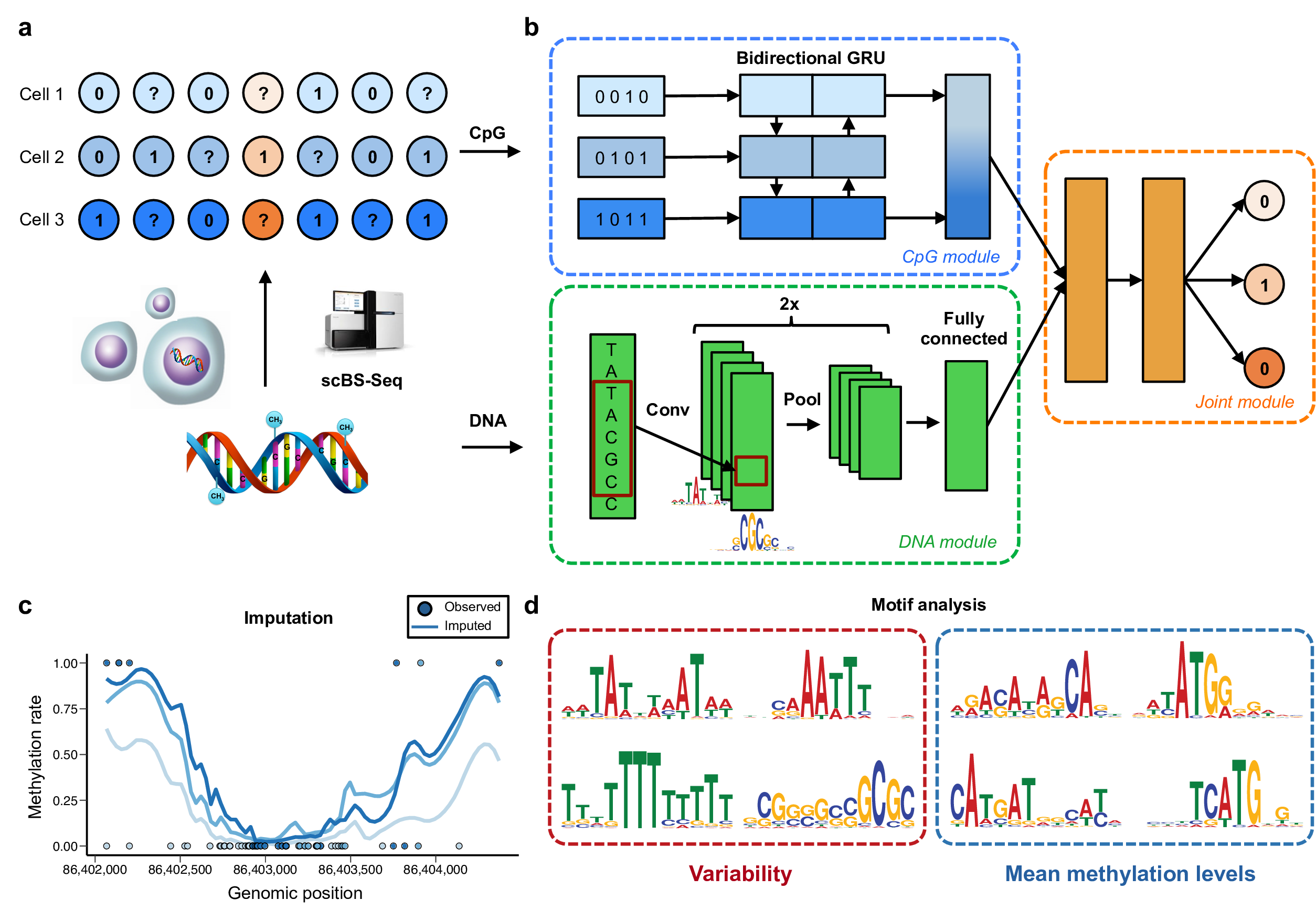 DeepCpG model architecture and applications.