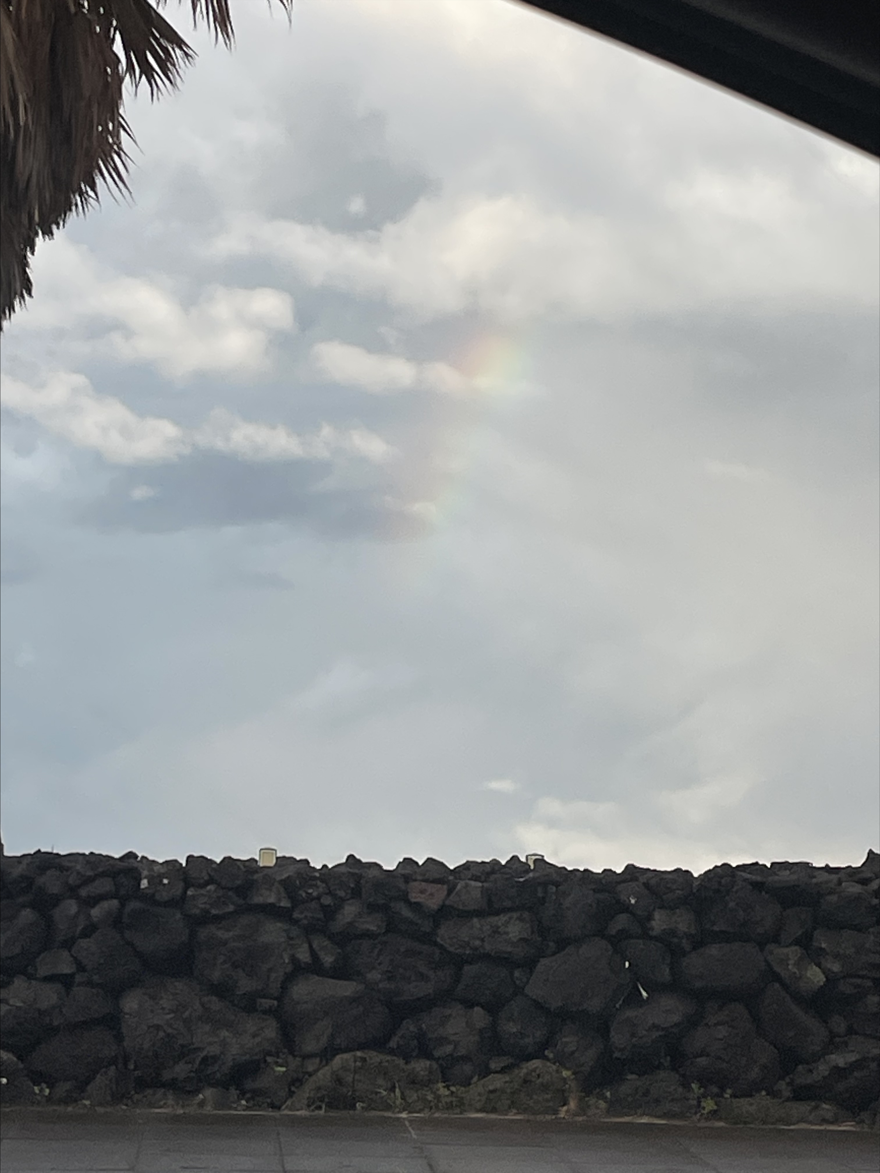 在咖啡店附近又看到了彩虹！