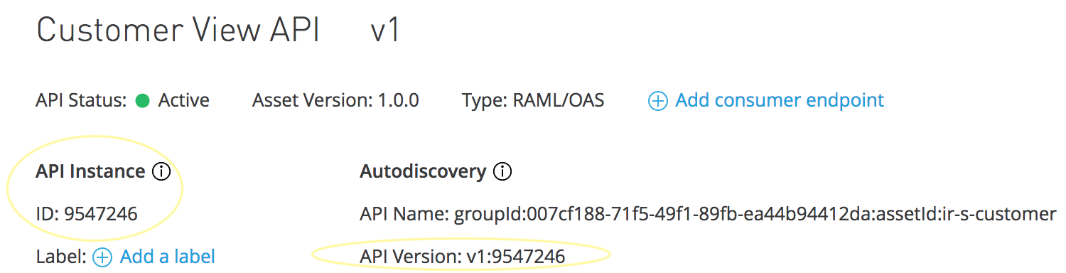 API Instance ID vs API Version