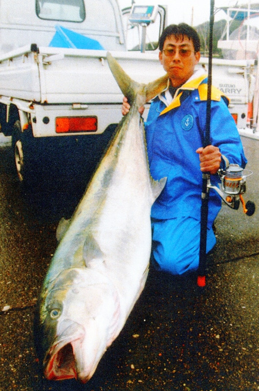 big-fish