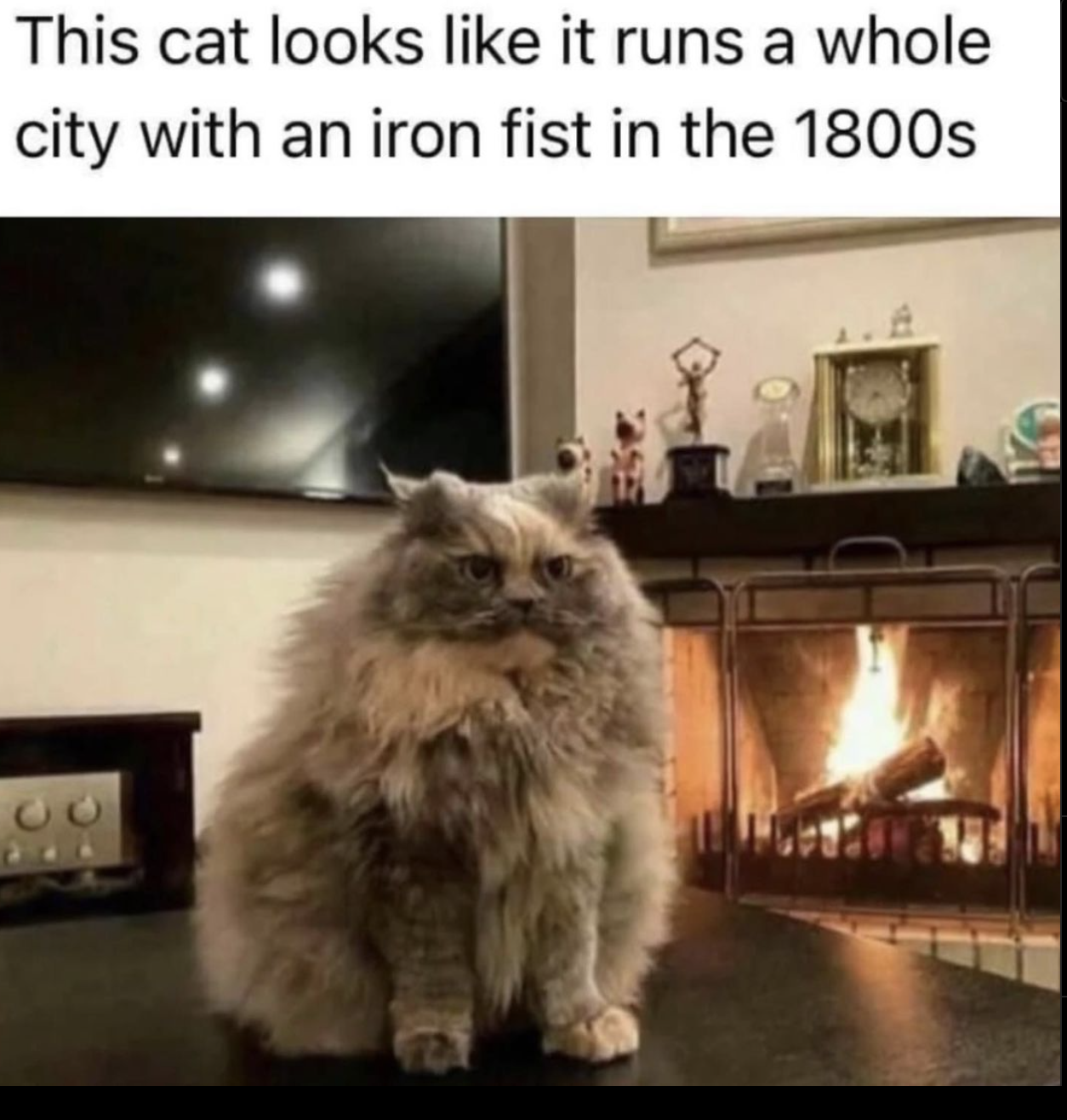 catironfist