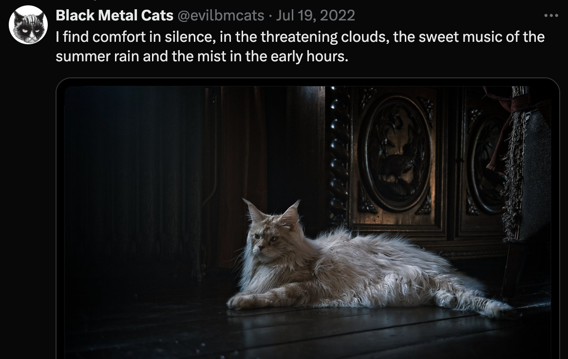 catmetal.png