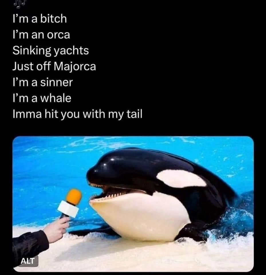 orca.jpg