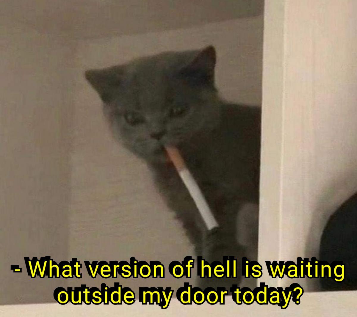 smokingcat.jpeg