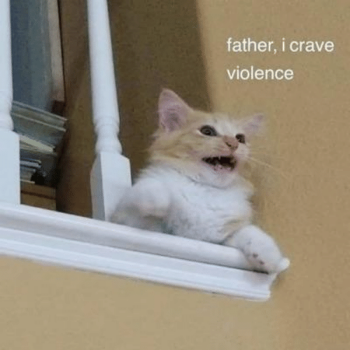 violentcat.png