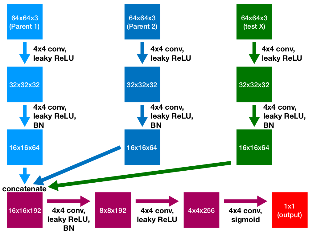 discriminator image