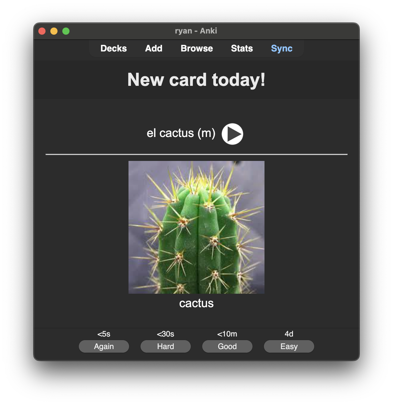 Anki with notification at the top saying: "New card today!"