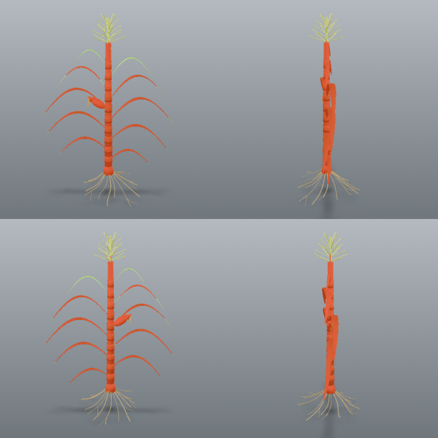 correct segmentation