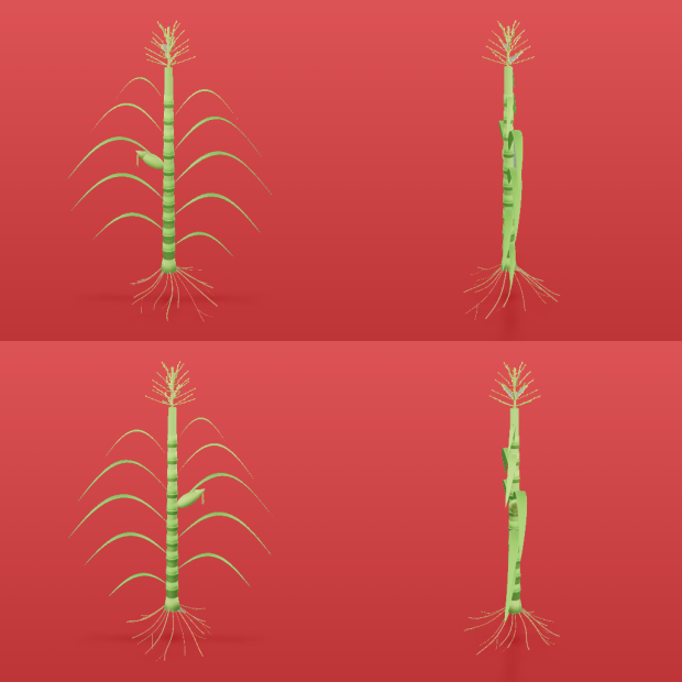 inverted segmentation