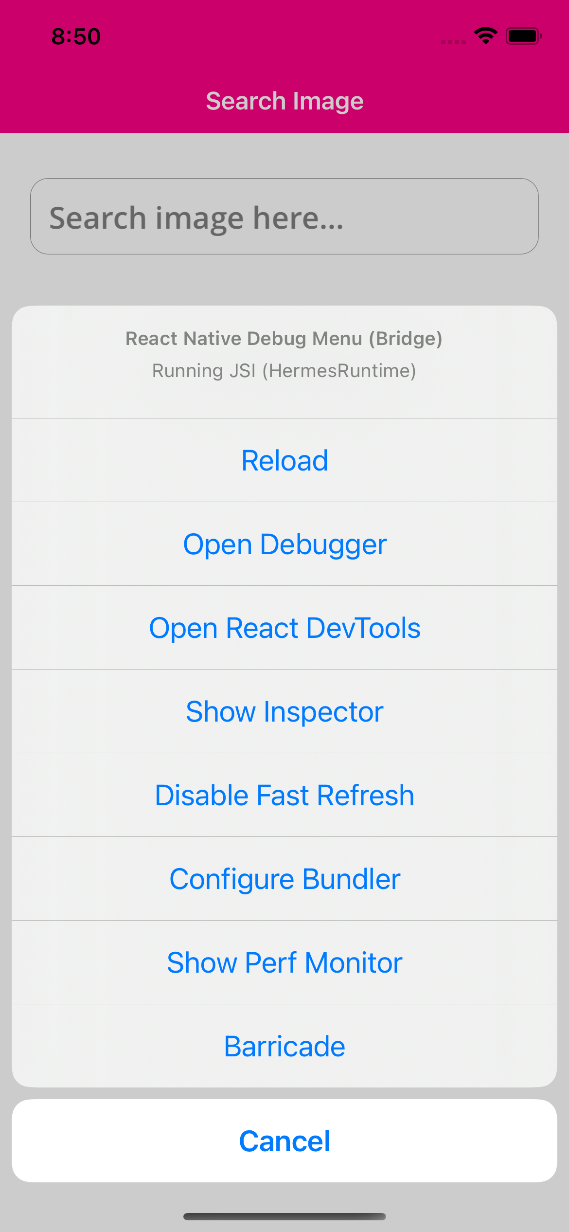 Developer Menu