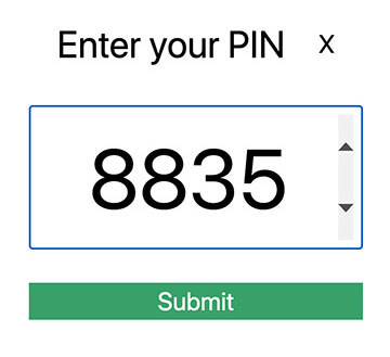 enter admin pin