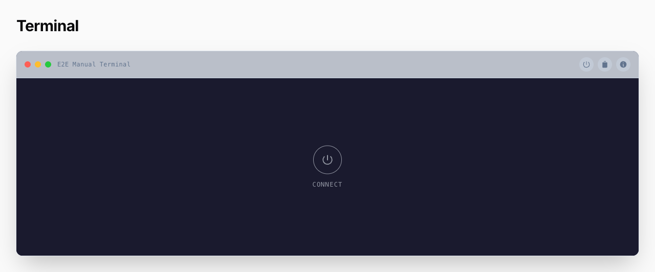 Manual connection behavior: the terminal shows a Connect overlay until clicked — no socket, no PTY