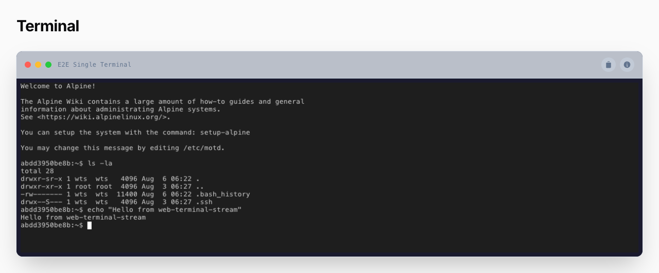 A single framed terminal running commands over SSH