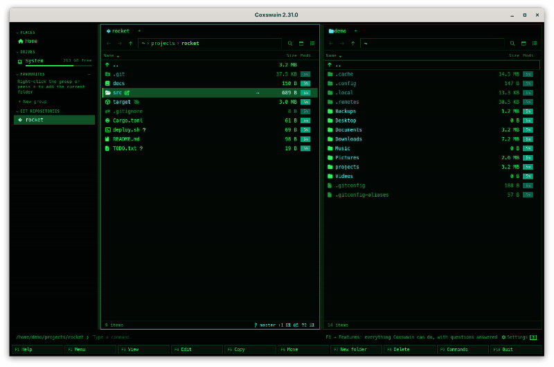 The desktop app: the cursor on the folder src, Shift+F10 opens What to do with "src" with Open, Features and questions, Settings, Path to command line, Copy, Move, Rename and the rest under their headings; typing git filters it to Git history, Git branches, Git worktrees, Open in your git tool and Git config, each with its key; Esc closes it