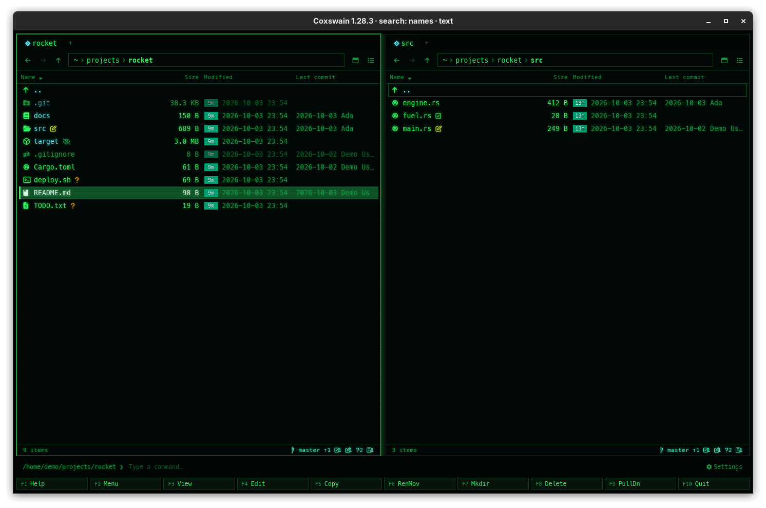 The desktop app's details view of ~/projects/rocket and its src folder with the Last commit column: each file's last commit date and author, Ada or Demo User, and nothing for files git does not track