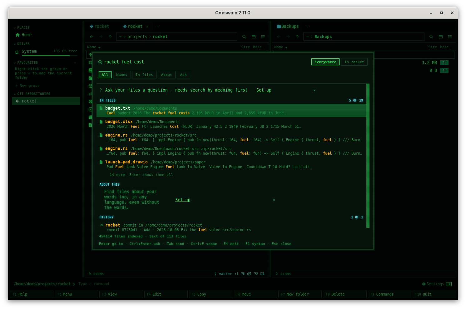 The desktop app's Find with "rocket fuel cost" typed: the Ask row on top, In files with budget.txt and its passage, About this with budget-da.txt, the Danish budget, in italics