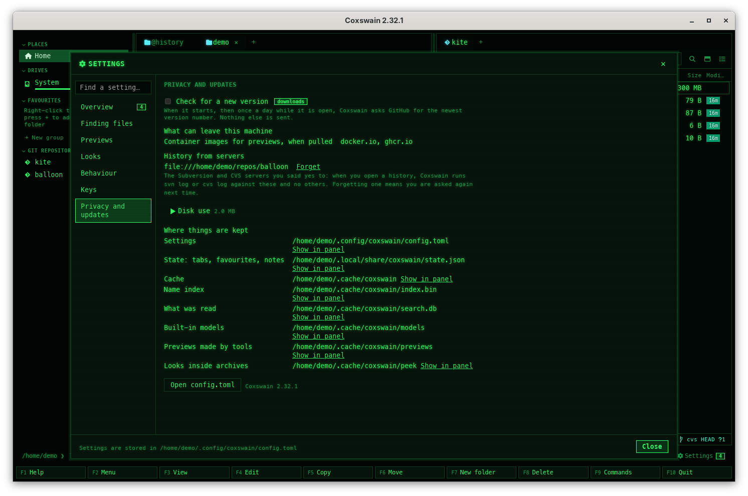 Settings at Privacy and updates: Check for a new version, What can leave this machine, History from servers with file:///home/demo/repos/balloon and its Forget link, the closed heading Disk use 2.0 MB, Where things are kept with a Show in panel link for each path, Open config.toml and the version