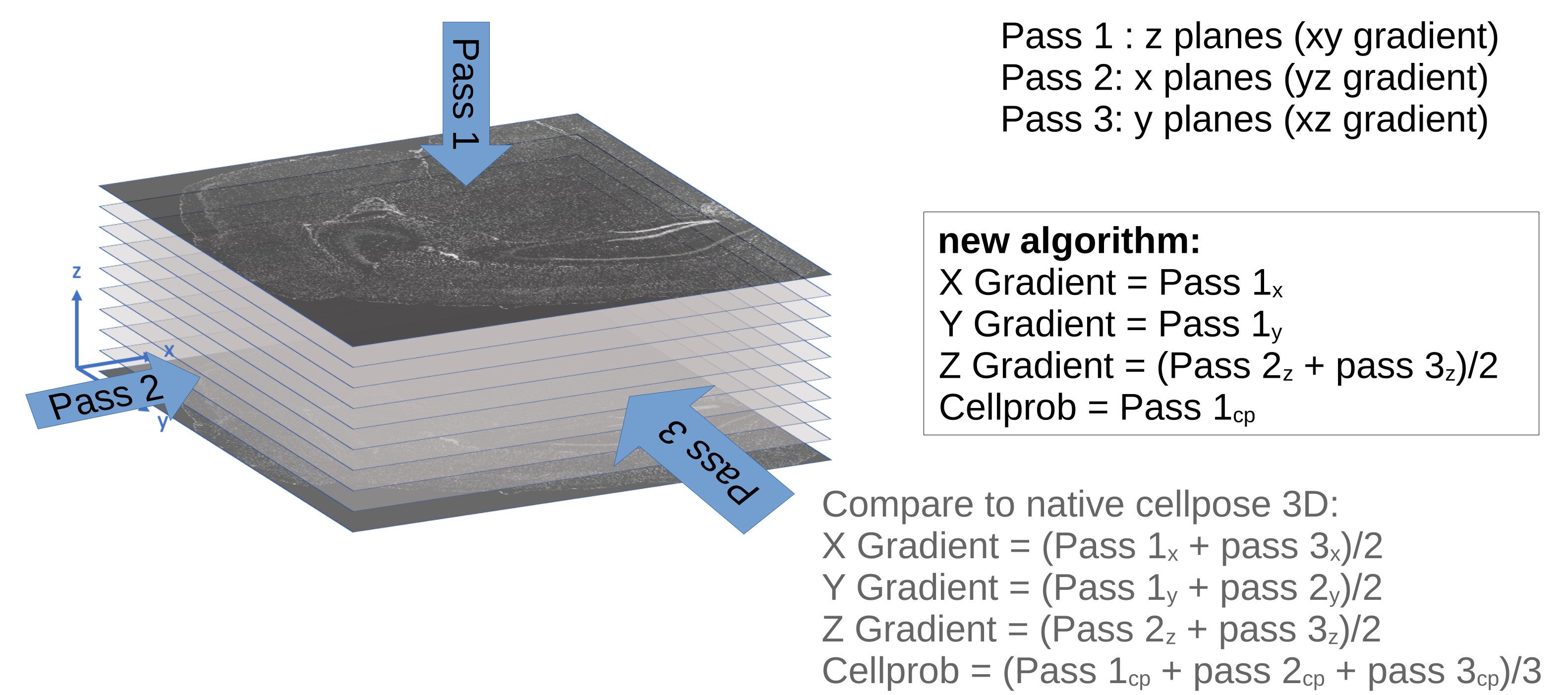 GitHub - mwshinn/cellpose3dplus: A patch to improve 3D segmentation in ...
