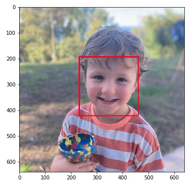 Face Detection