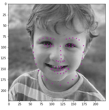 Face Keypoint Detection