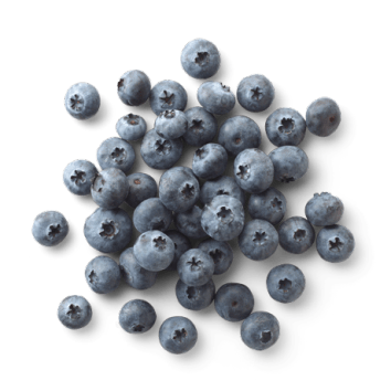 Blueberries Image.
