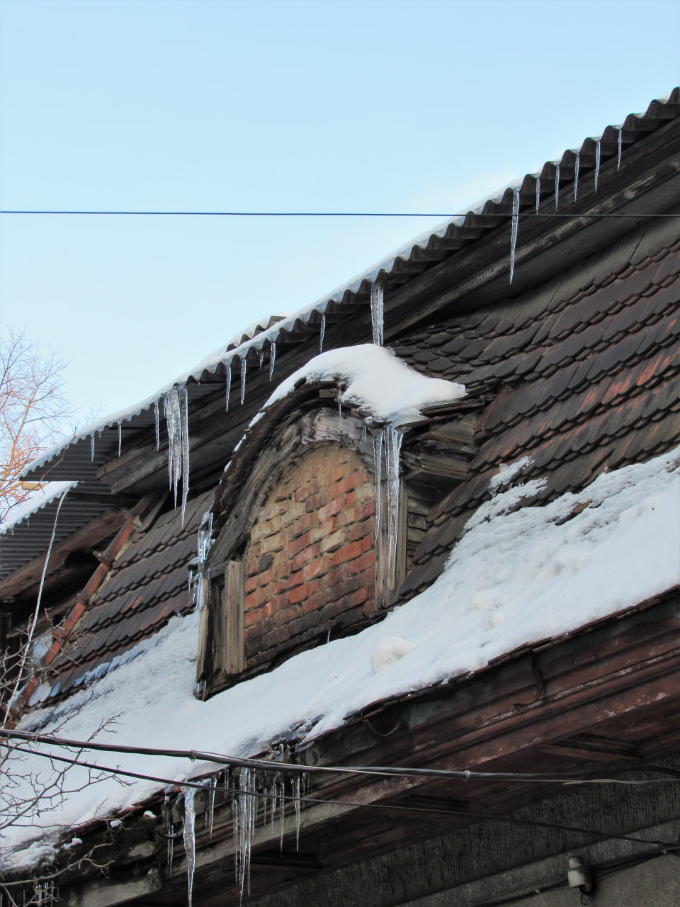 Особняк на вулиці Дарвіна