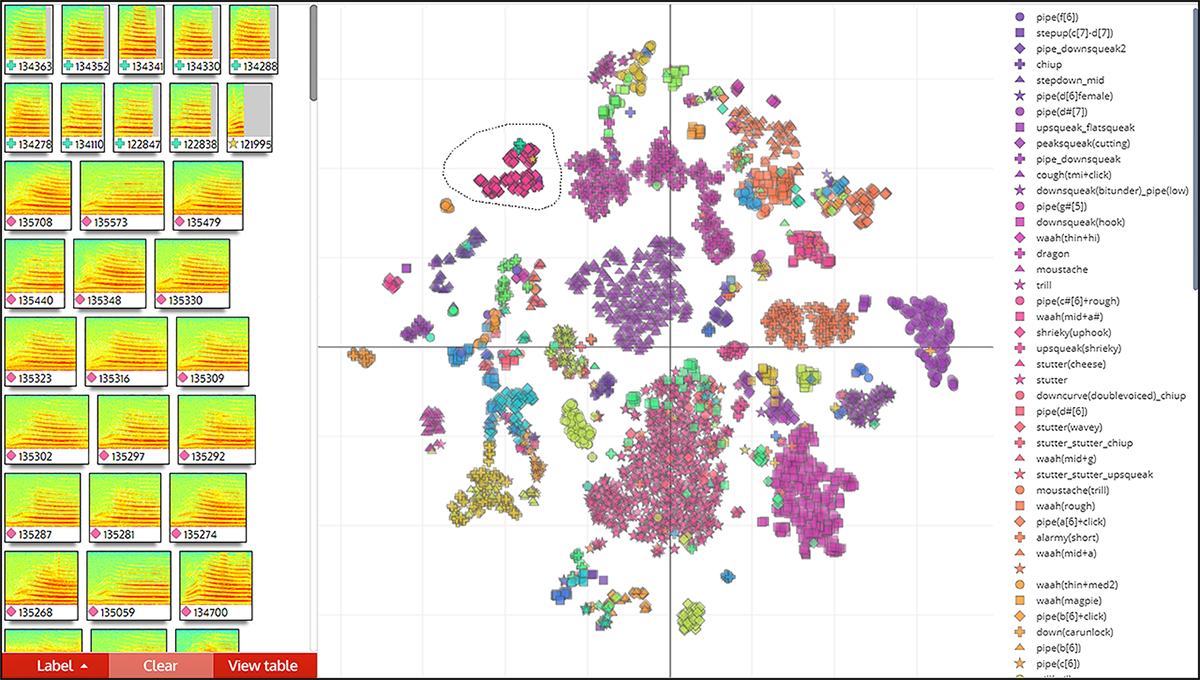 Koe's interactive ordination view allows the user to encircle groups of points on the plot with the lasso tool, to view their spectrograms and hear their audio. Mousing over a point in a selection highlights the corresponding spectrogram in the left-hand panel. Selections can be labelled in bulk directly on the plot or opened as a unit table to view detailed unit information. The user can zoom, toggle the visibility of classes, and export the plot as a vector graphic. This example shows a t-SNE ordination of 7189 units of male and female New Zealand bellbird Anthornis melanura song on Tiritiri Matangi Island.