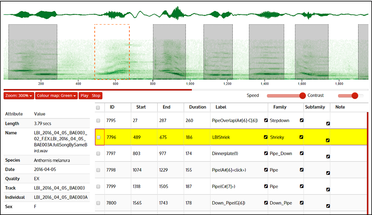 Segment songs into units view, showing a song being segmented into units. The interface for partitioning recordings into songs is similar. Units are manually segmented by dragging over the spectrogram; unit endpoints can be re-adjusted at any time. A selection box can be clicked for playback. Spectrogram zoom, contrast and colourmap can be adjusted. Units can be labelled, or comments given. This example is a female New Zealand bellbird (Anthornis melanura) song from Hauturu.